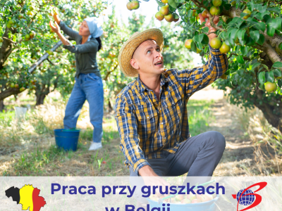 Przerzedzania gruszek